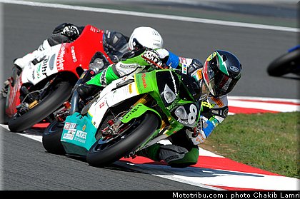 bol_dor_0036_2010.JPG