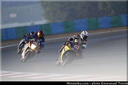 bol_dor_002_2010.JPG