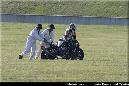 bol_dor_019_2010.JPG