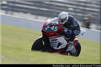 bol_dor_metiss_2_2010.JPG