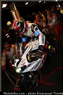 bol_dor_2011_0007_yart_5.JPG