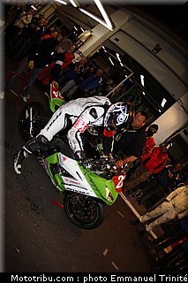 bol_dor_2011_0024_3d_1.JPG