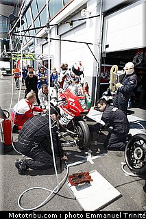 bol_dor_2011_0045_metiss_4.JPG