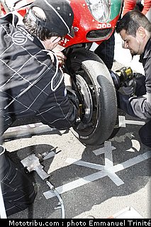 bol_dor_2011_0045_metiss_5.JPG