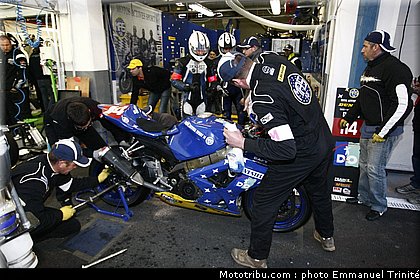 bol_dor_2011_0114_mas14_06.JPG