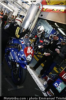 bol_dor_2011_0114_mas14_07.JPG