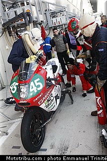 metiss_004_24h_du_mans_2011.jpg