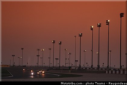 031_endurance_2012_qatar_doha_losail.jpg