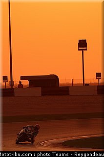 yart_005_endurance_2012_qatar_doha_losail.jpg