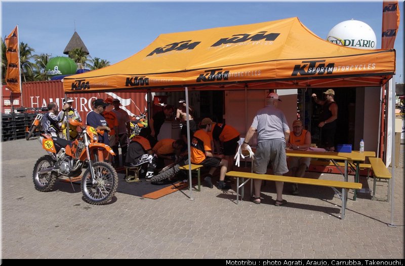 paddock_1