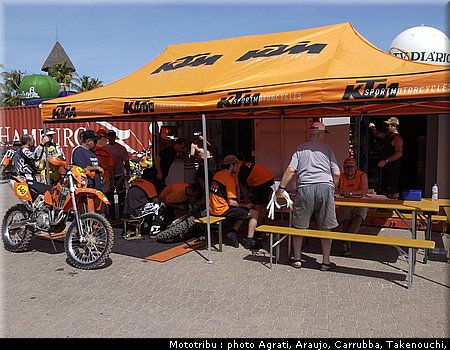 paddock_1.jpg