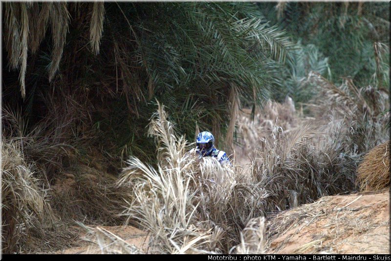 divers_005_dakar2005