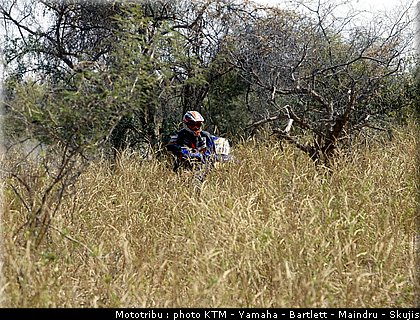 divers_008_dakar2005.jpg