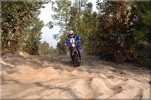 ktm-dakar2007-0002.jpg