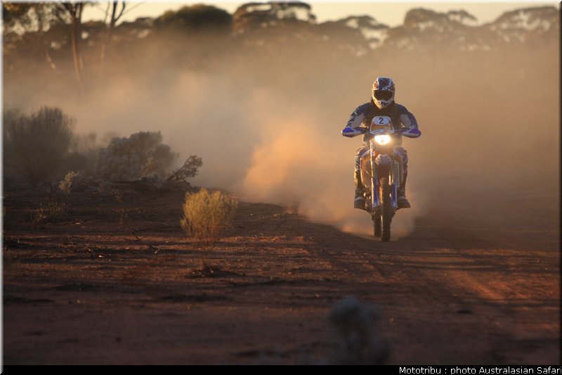 australasian_safari2008_0003