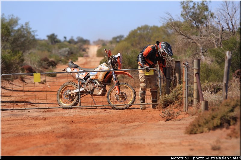 australasian_safari2008_0029