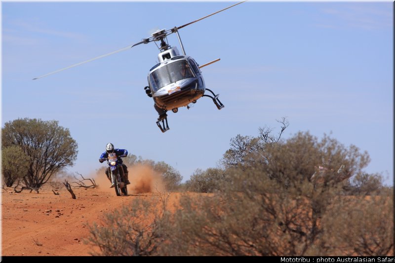 australasian_safari2008_0041