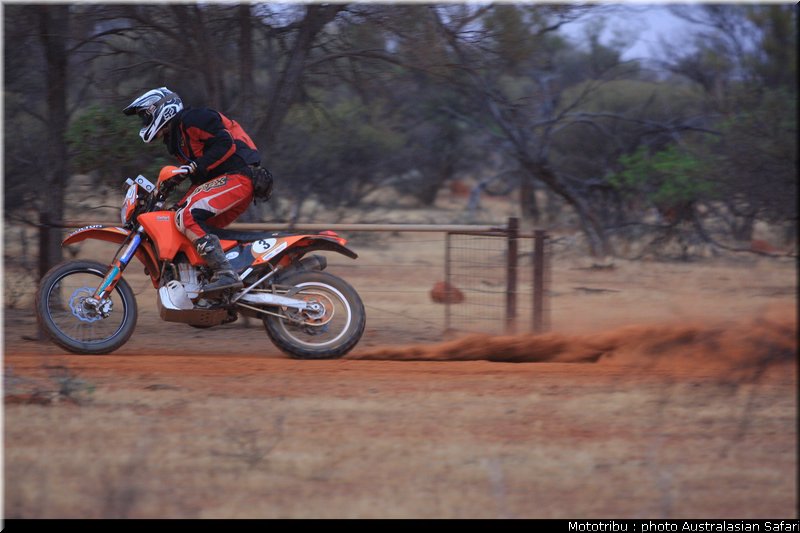 australasian_safari2008_0055