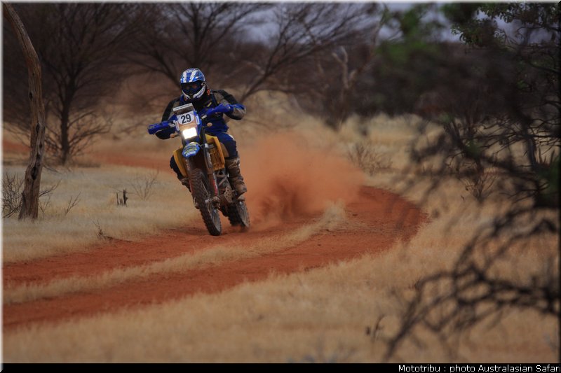 australasian_safari2008_0059