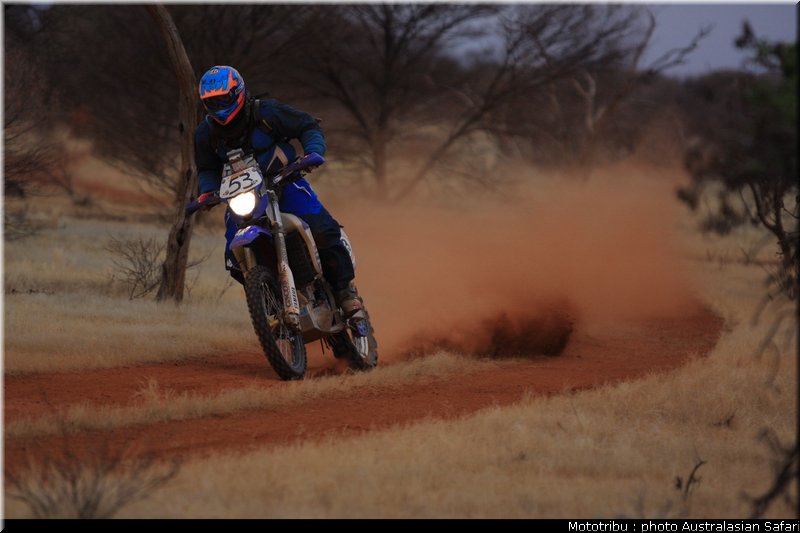 australasian_safari2008_0060
