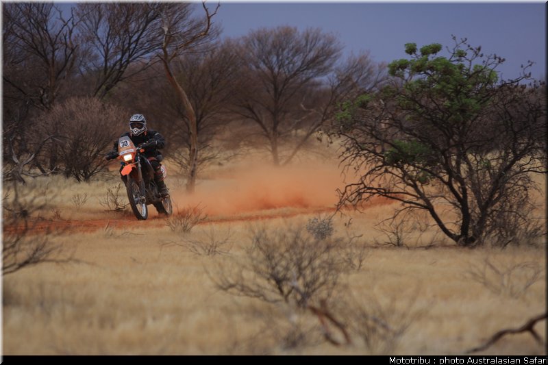 australasian_safari2008_0064
