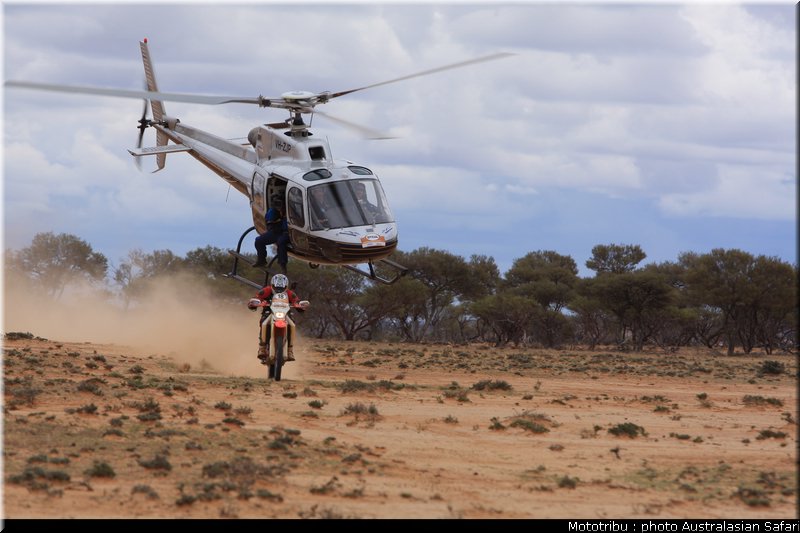 australasian_safari2008_0066