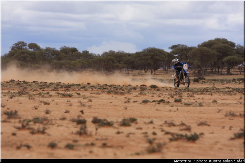 australasian_safari2008_0068