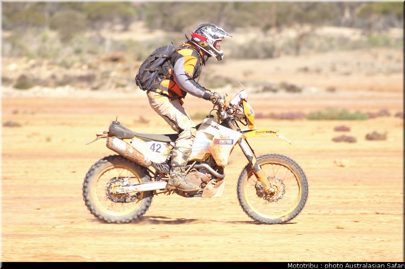 australasian_safari2008_0117