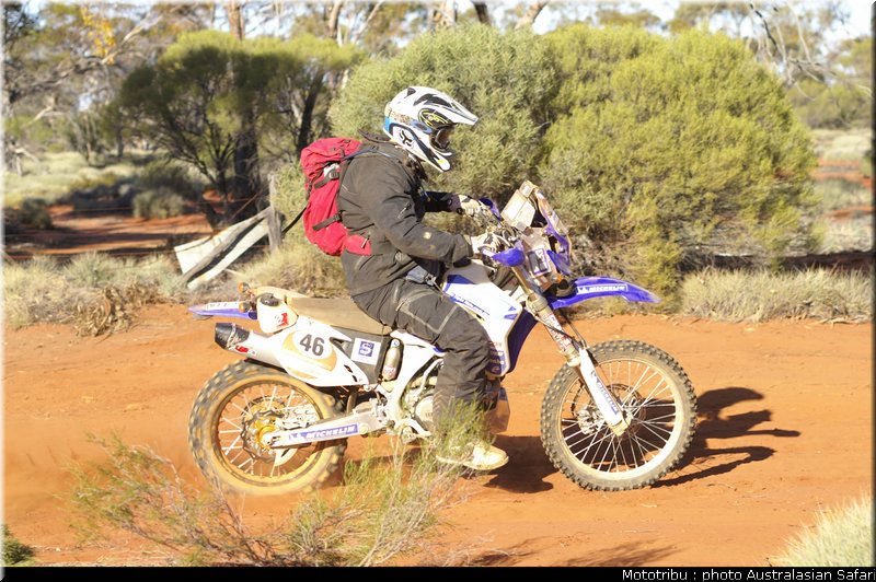 australasian_safari2008_0119