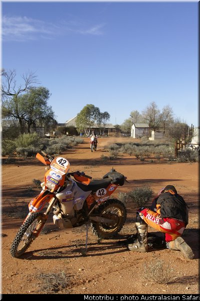 australasian_safari2008_0134