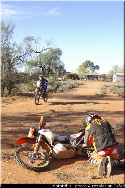 australasian_safari2008_0136