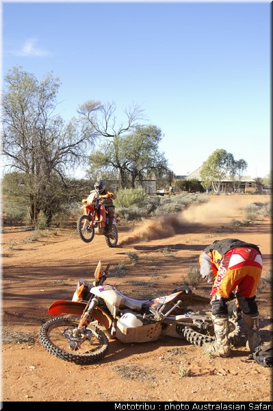 australasian_safari2008_0138