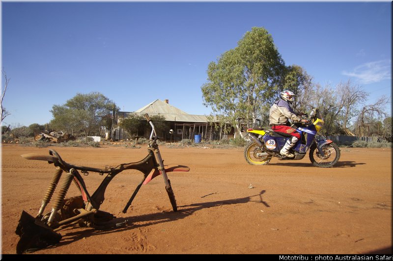 australasian_safari2008_0151