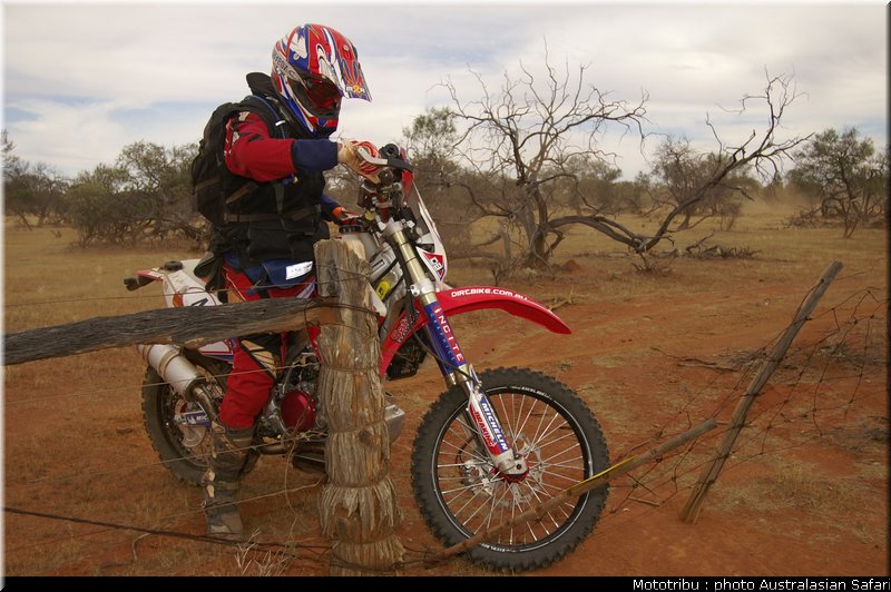 australasian_safari2008_0168