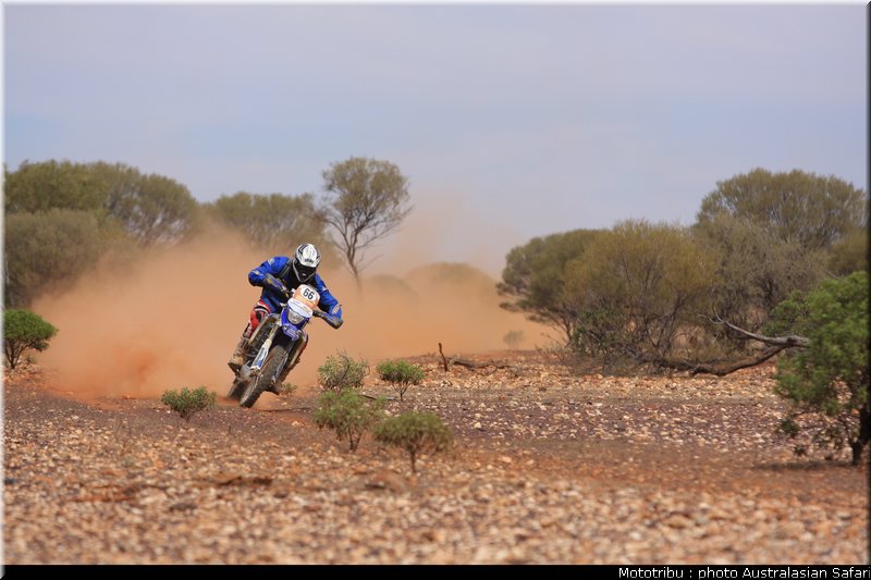 australasian_safari2008_0192