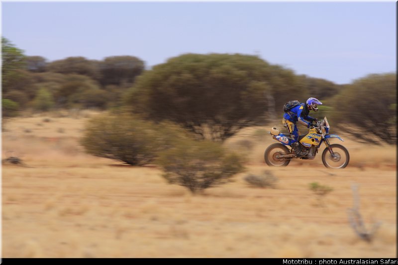 australasian_safari2008_0207
