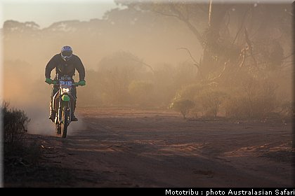 australasian_safari2008_0010.JPG