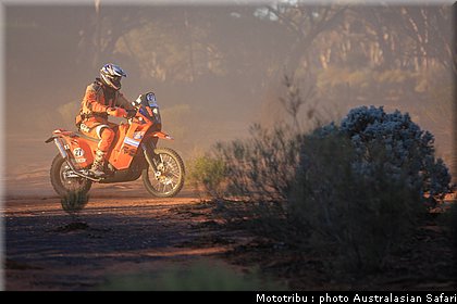 australasian_safari2008_0012.JPG