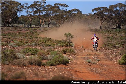 australasian_safari2008_0014.JPG