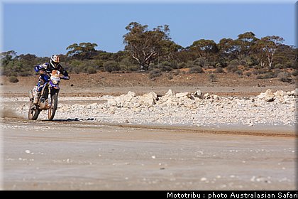 australasian_safari2008_0021.JPG