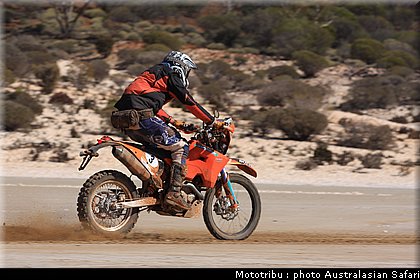 australasian_safari2008_0022.JPG