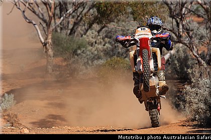 australasian_safari2008_0025.JPG