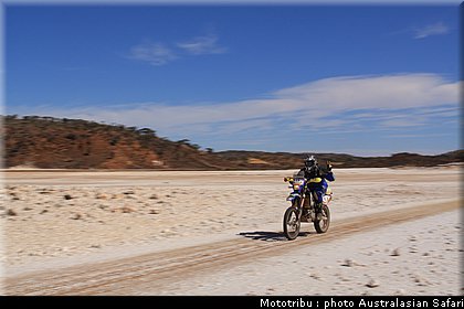australasian_safari2008_0028.JPG