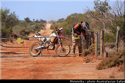 australasian_safari2008_0029.JPG