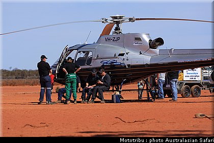 australasian_safari2008_0032.JPG