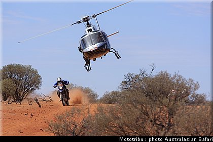 australasian_safari2008_0041.JPG
