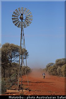 australasian_safari2008_0045.JPG