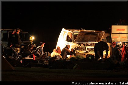 australasian_safari2008_0049.JPG