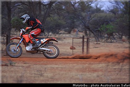 australasian_safari2008_0055.JPG