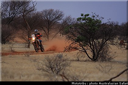 australasian_safari2008_0056.JPG